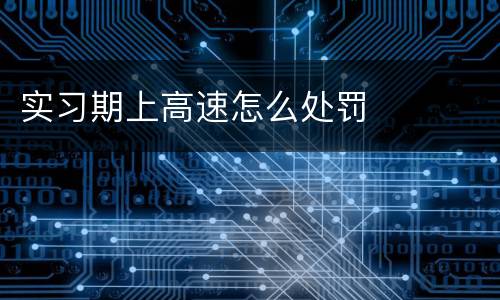 实习期上高速怎么处罚