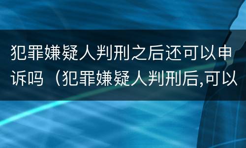 犯罪嫌疑人判刑之后还可以申诉吗（犯罪嫌疑人判刑后,可以接见吗）
