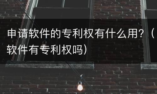 申请软件的专利权有什么用?（软件有专利权吗）