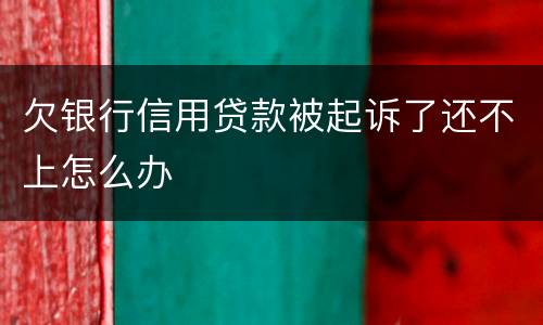欠银行信用贷款被起诉了还不上怎么办