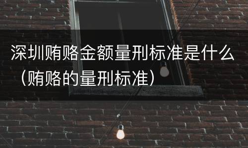 深圳贿赂金额量刑标准是什么（贿赂的量刑标准）