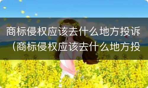 商标侵权应该去什么地方投诉（商标侵权应该去什么地方投诉举报）