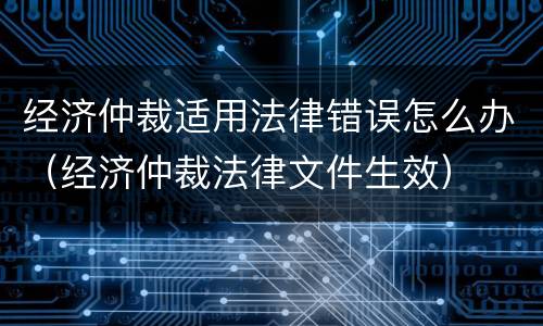 经济仲裁适用法律错误怎么办（经济仲裁法律文件生效）