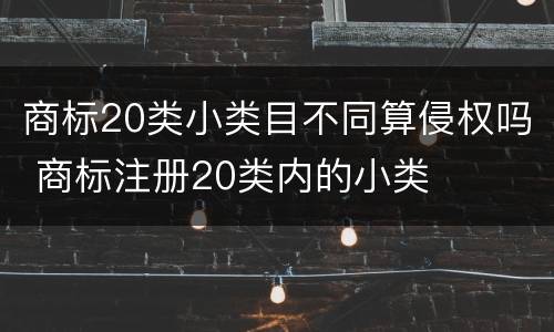 商标20类小类目不同算侵权吗 商标注册20类内的小类
