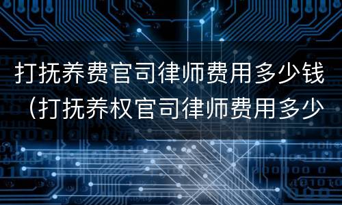 打抚养费官司律师费用多少钱（打抚养权官司律师费用多少钱）