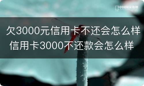 欠3000元信用卡不还会怎么样 信用卡3000不还款会怎么样