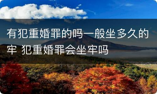 有犯重婚罪的吗一般坐多久的牢 犯重婚罪会坐牢吗