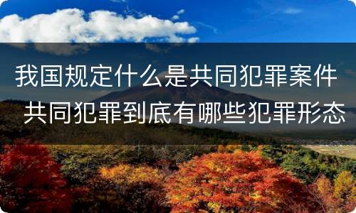我国规定什么是共同犯罪案件 共同犯罪到底有哪些犯罪形态