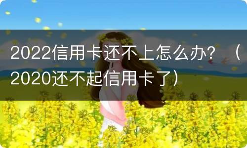 2022信用卡还不上怎么办？（2020还不起信用卡了）