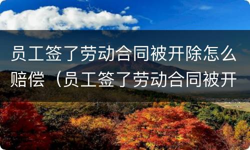 员工签了劳动合同被开除怎么赔偿（员工签了劳动合同被开除怎么赔偿呢）