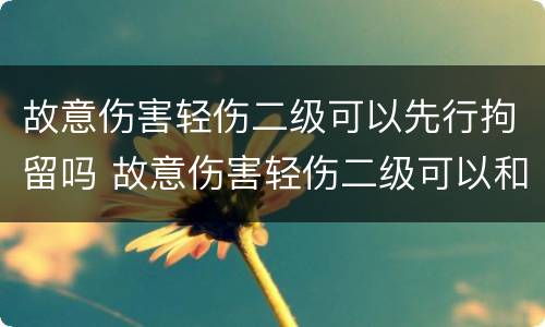 故意伤害轻伤二级可以先行拘留吗 故意伤害轻伤二级可以和解吗