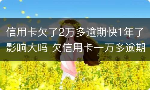信用卡欠了2万多逾期快1年了影响大吗 欠信用卡一万多逾期一年了