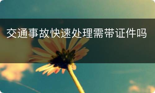 交通事故快速处理需带证件吗