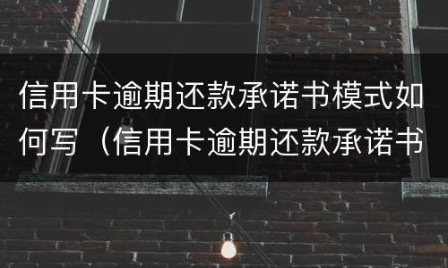 信用卡逾期还款承诺书模式如何写（信用卡逾期还款承诺书模式如何写原因）