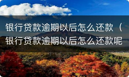 银行贷款逾期以后怎么还款（银行贷款逾期以后怎么还款呢）