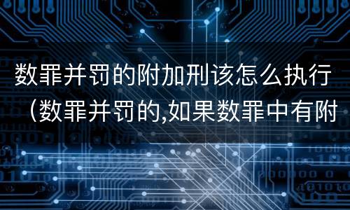 数罪并罚的附加刑该怎么执行（数罪并罚的,如果数罪中有附加刑的,附加刑可以不执行）