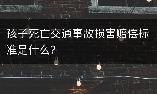 孩子死亡交通事故损害赔偿标准是什么？