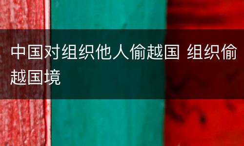 中国对组织他人偷越国 组织偷越国境