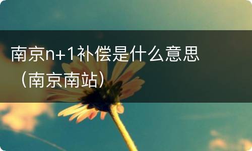 南京n+1补偿是什么意思（南京南站）