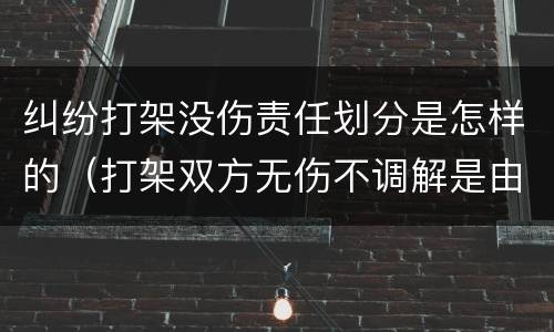 纠纷打架没伤责任划分是怎样的（打架双方无伤不调解是由谁去起诉）
