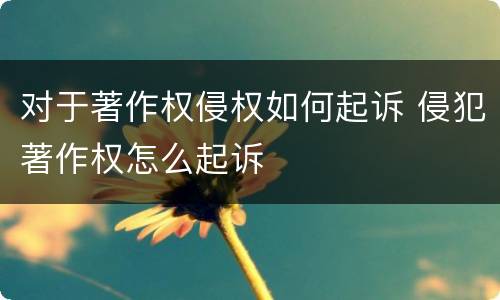 对于著作权侵权如何起诉 侵犯著作权怎么起诉