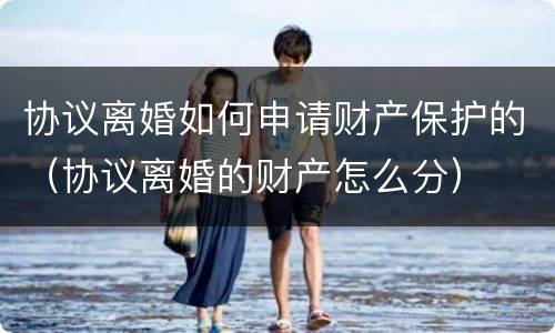协议离婚如何申请财产保护的（协议离婚的财产怎么分）