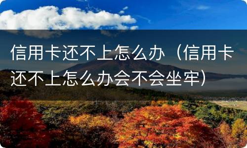 信用卡还不上怎么办（信用卡还不上怎么办会不会坐牢）