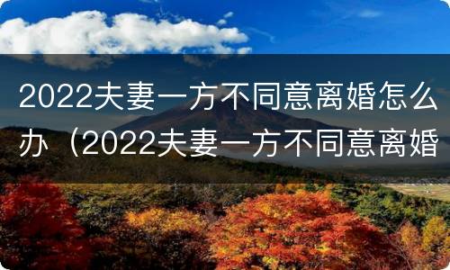2022夫妻一方不同意离婚怎么办（2022夫妻一方不同意离婚怎么办呢）