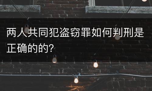 两人共同犯盗窃罪如何判刑是正确的的？