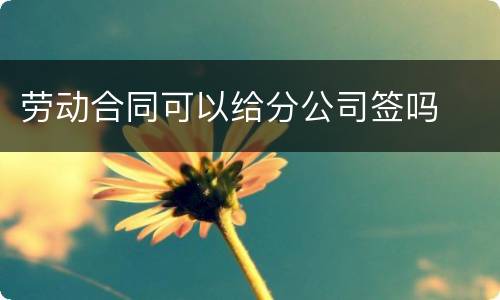 劳动合同可以给分公司签吗