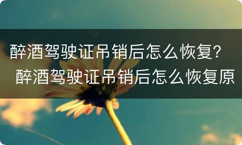 醉酒驾驶证吊销后怎么恢复？ 醉酒驾驶证吊销后怎么恢复原状