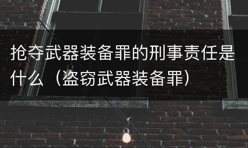 抢夺武器装备罪的刑事责任是什么（盗窃武器装备罪）