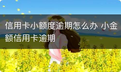信用卡小额度逾期怎么办 小金额信用卡逾期