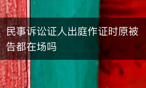 民事诉讼证人出庭作证时原被告都在场吗