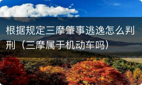 根据规定三摩肇事逃逸怎么判刑（三摩属于机动车吗）