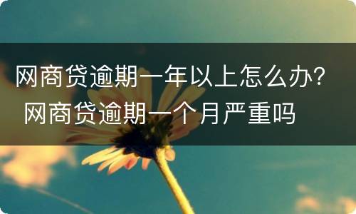 网商贷逾期一年以上怎么办？ 网商贷逾期一个月严重吗