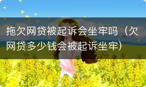 拖欠网贷被起诉会坐牢吗（欠网贷多少钱会被起诉坐牢）