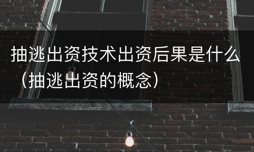抽逃出资技术出资后果是什么（抽逃出资的概念）