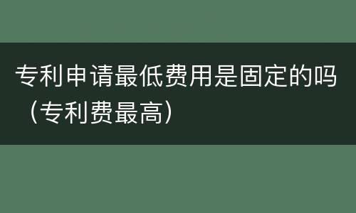 专利申请最低费用是固定的吗（专利费最高）