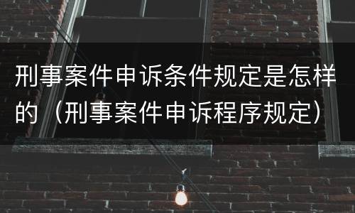 刑事案件申诉条件规定是怎样的（刑事案件申诉程序规定）