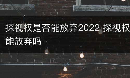 探视权是否能放弃2022 探视权能放弃吗