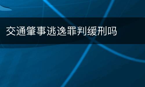 交通肇事逃逸罪判缓刑吗