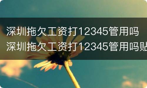 深圳拖欠工资打12345管用吗 深圳拖欠工资打12345管用吗贴吧