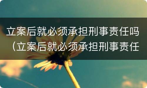 立案后就必须承担刑事责任吗（立案后就必须承担刑事责任吗法院）
