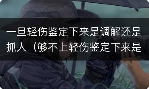 一旦轻伤鉴定下来是调解还是抓人（够不上轻伤鉴定下来是调解还是抓人）
