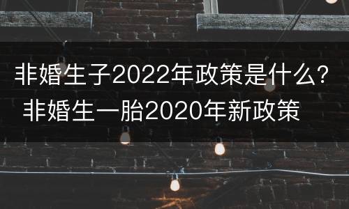 非婚生子2022年政策是什么？ 非婚生一胎2020年新政策