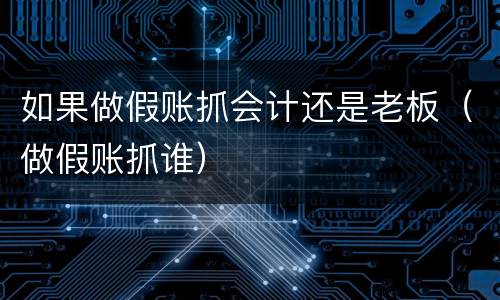 如果做假账抓会计还是老板（做假账抓谁）