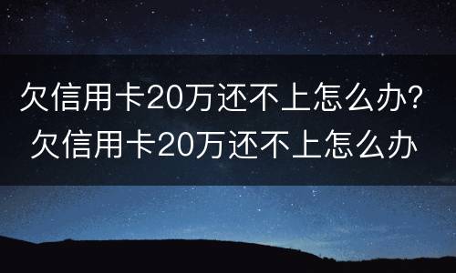 欠信用卡20万还不上怎么办？ 欠信用卡20万还不上怎么办