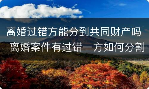 离婚过错方能分到共同财产吗 离婚案件有过错一方如何分割财产