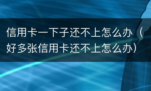 信用卡一下子还不上怎么办（好多张信用卡还不上怎么办）